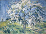 Blühender Apfelbaum 1954