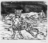 Zwei Leoparden ca. 1923